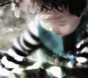 攻击网站的方法